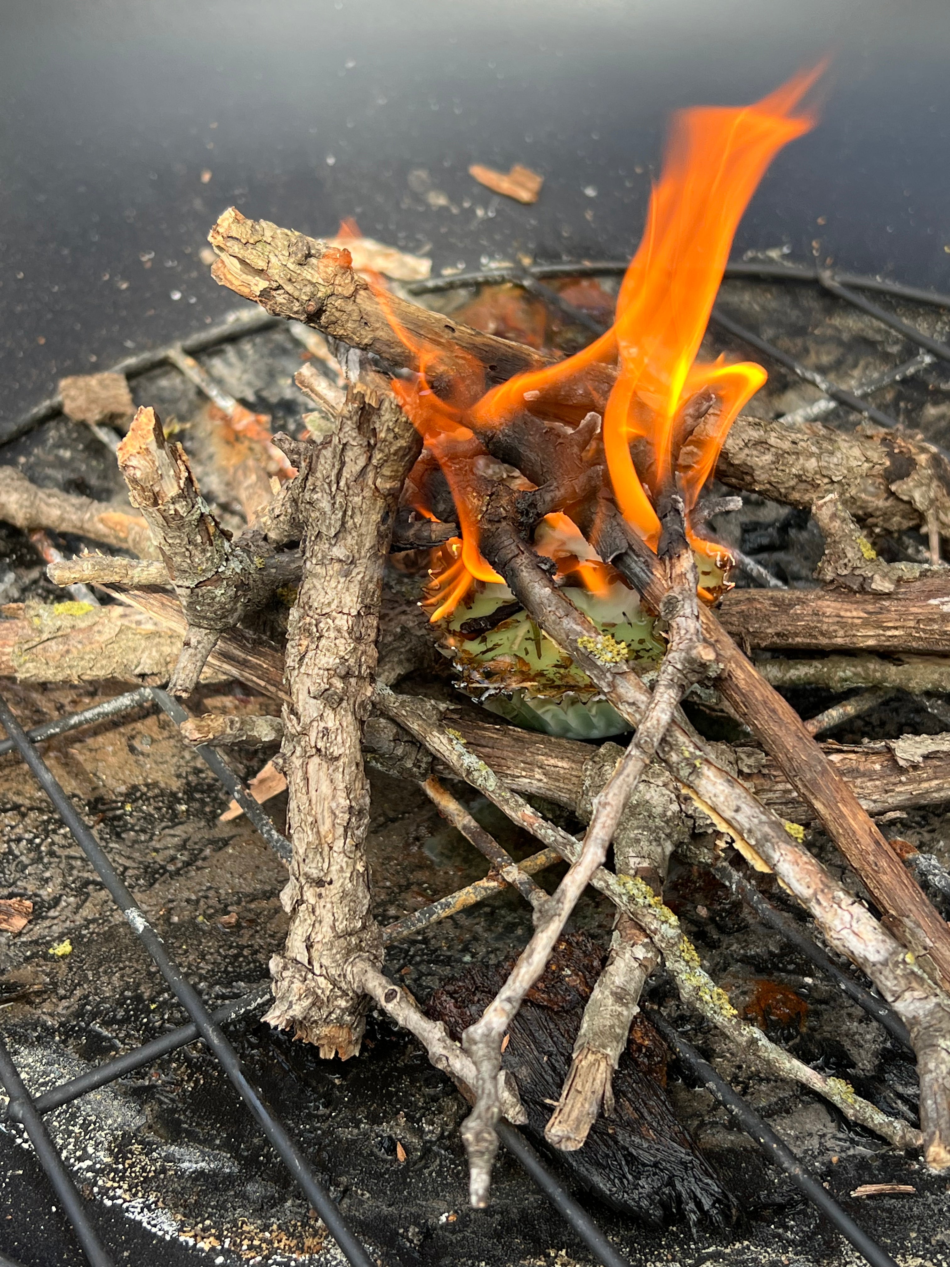 Fire Starter