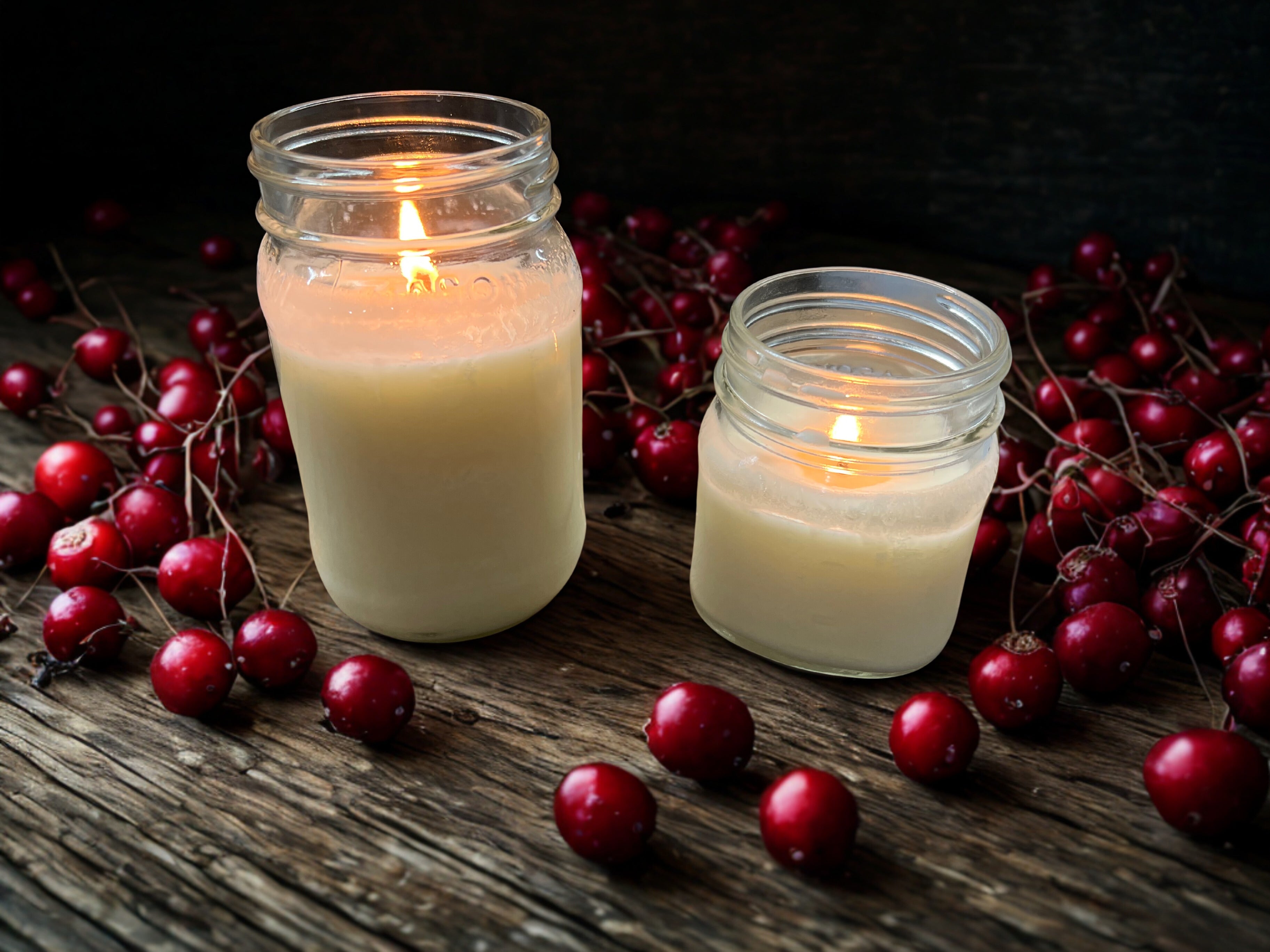 Cranberry Forest